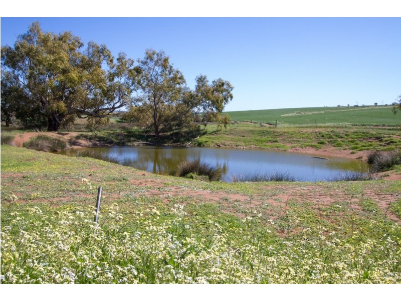 ARBLAY FARM 138 Whitehurst Tetlow Road, Nabawa WA 6532