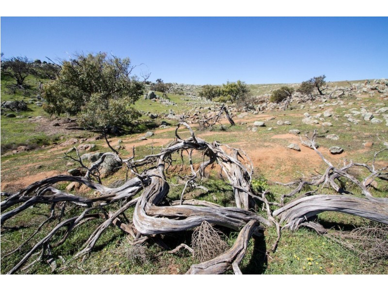 ARBLAY FARM 138 Whitehurst Tetlow Road, Nabawa WA 6532