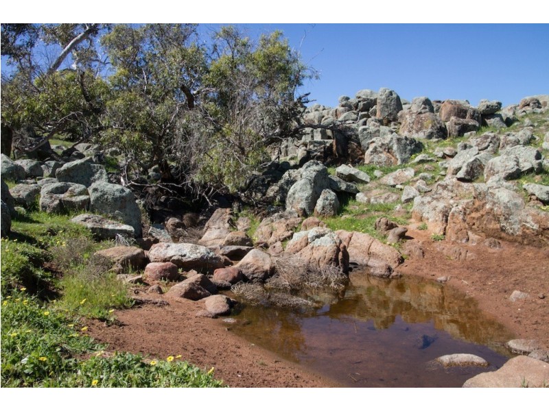 ARBLAY FARM 138 Whitehurst Tetlow Road, Nabawa WA 6532