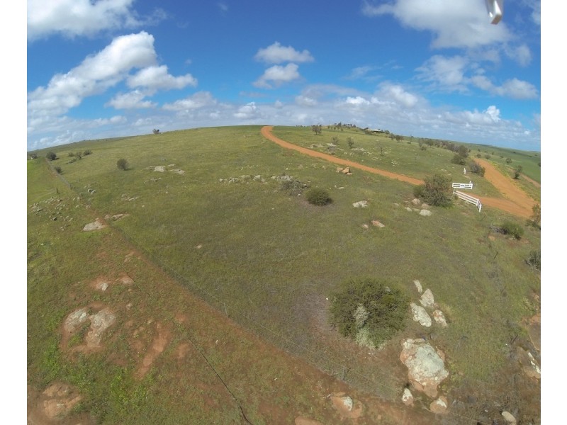 ARBLAY FARM 138 Whitehurst Tetlow Road, Nabawa WA 6532