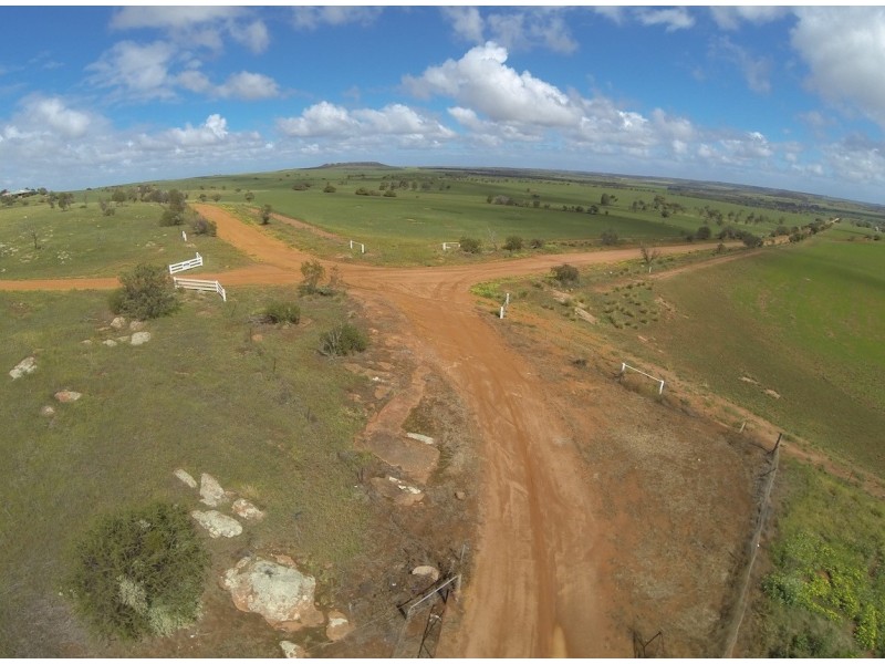 ARBLAY FARM 138 Whitehurst Tetlow Road, Nabawa WA 6532