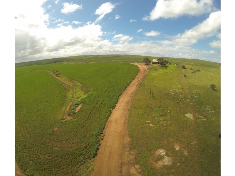 ARBLAY FARM 138 Whitehurst Tetlow Road, Nabawa WA 6532