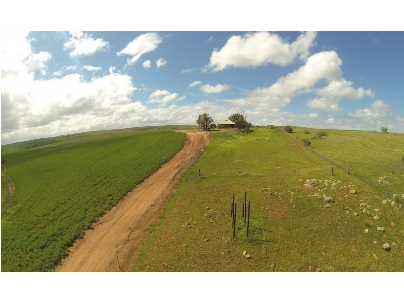 ARBLAY FARM 138 Whitehurst Tetlow Road, Nabawa WA 6532