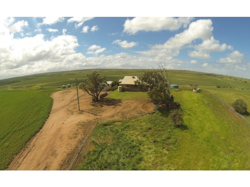 ARBLAY FARM 138 Whitehurst Tetlow Road, Nabawa WA 6532