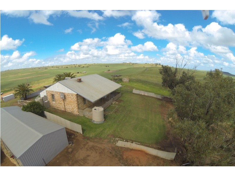 ARBLAY FARM 138 Whitehurst Tetlow Road, Nabawa WA 6532