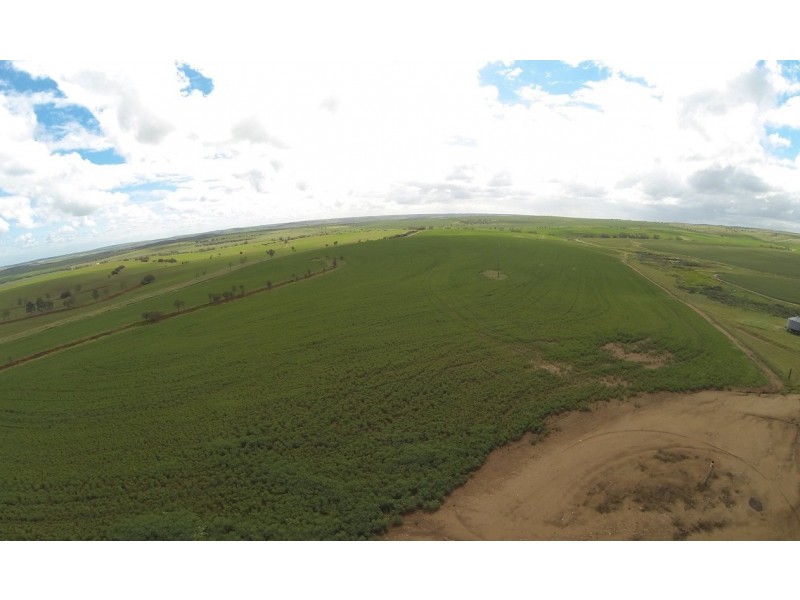 ARBLAY FARM 138 Whitehurst Tetlow Road, Nabawa WA 6532