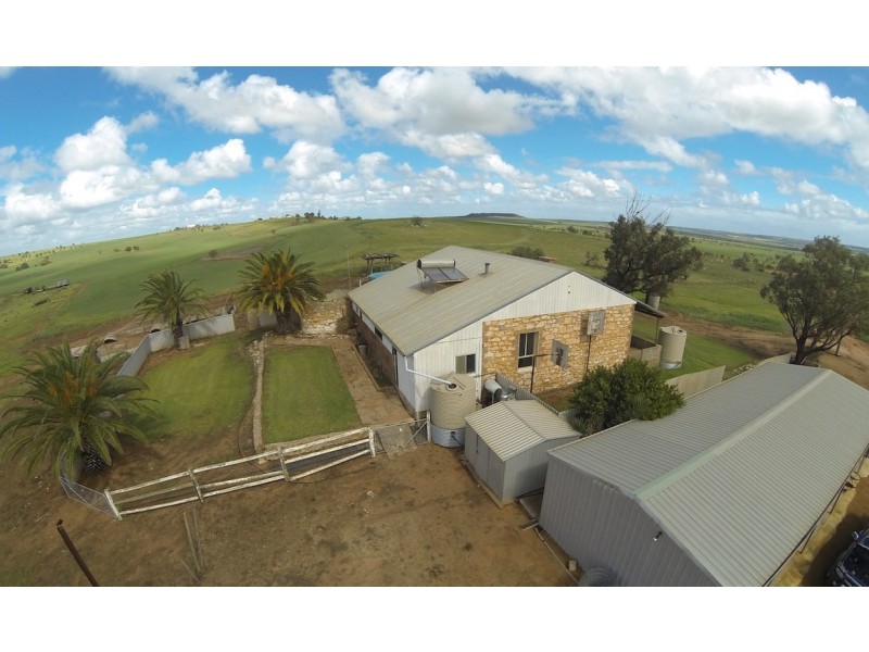 ARBLAY FARM 138 Whitehurst Tetlow Road, Nabawa WA 6532