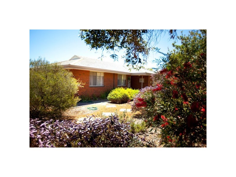 87 Drew Street, Spalding WA 6530