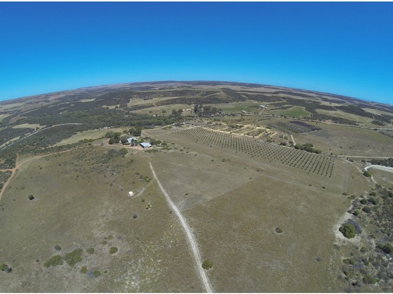 210 Nanson-Howatharra Road, Nanson WA 6532