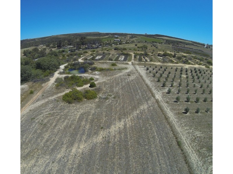 210 Nanson-Howatharra Road, Nanson WA 6532