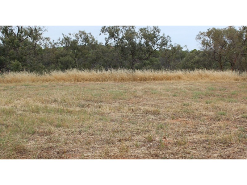 1 Eastough Street, Nanson WA 6532