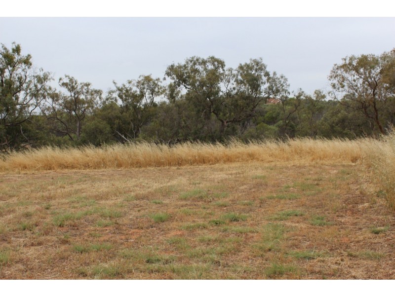 1 Eastough Street, Nanson WA 6532