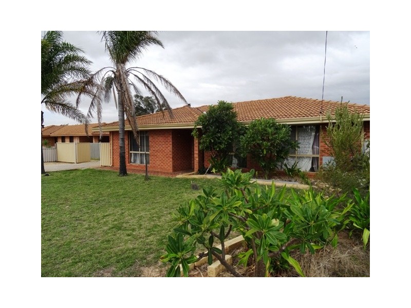 10 Astron Place, Waggrakine WA 6530