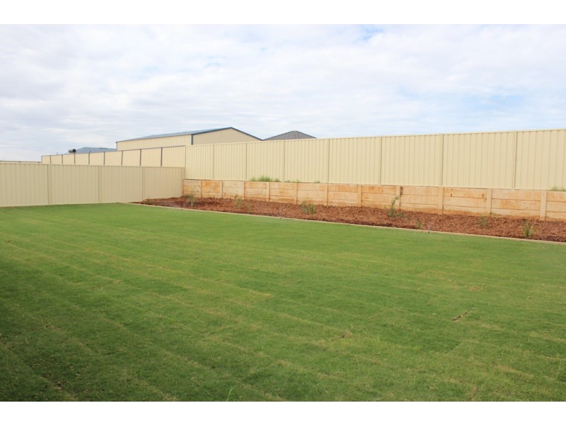 8 Donegal Street, Utakarra WA 6530