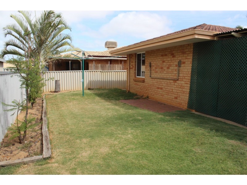 36 Pinyali Way, Waggrakine WA 6530
