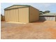 36 Pinyali Way, Waggrakine WA 6530