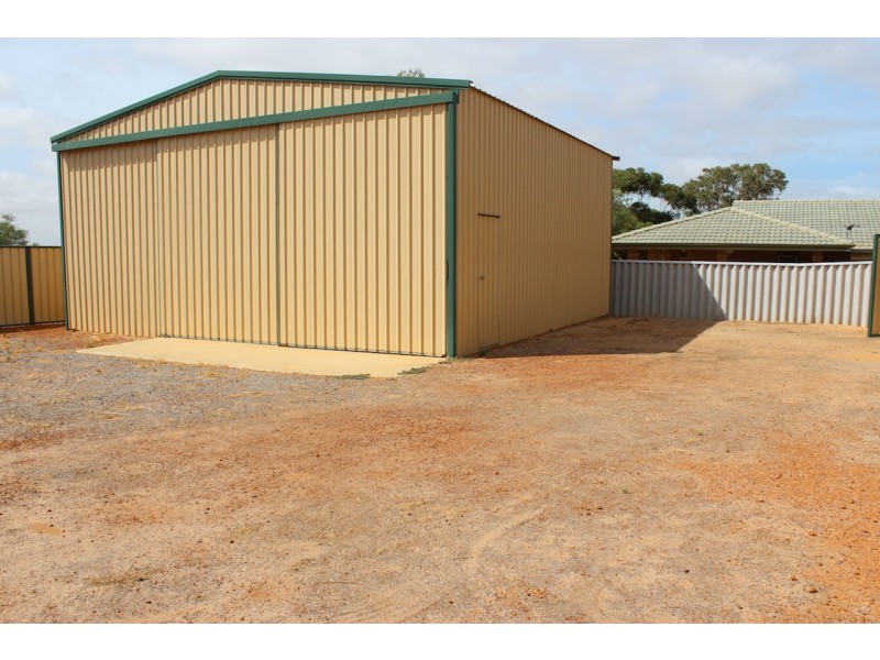 36 Pinyali Way, Waggrakine WA 6530