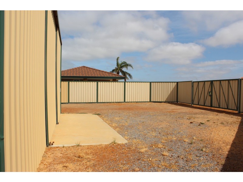 36 Pinyali Way, Waggrakine WA 6530