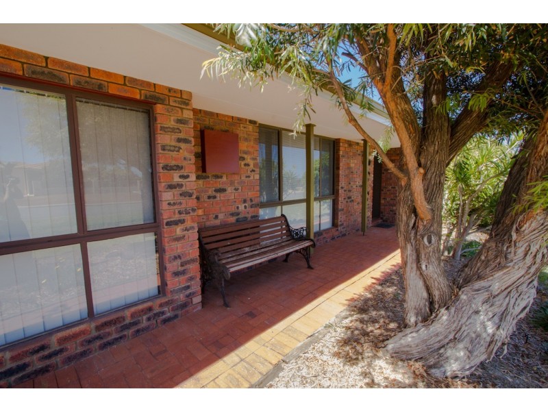 11 Olive Street, Tarcoola Beach WA 6530