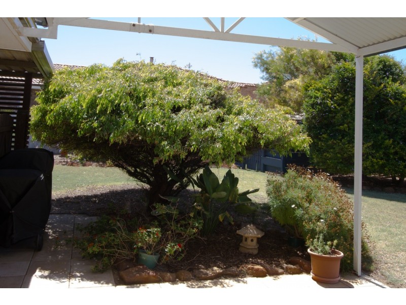 11 Olive Street, Tarcoola Beach WA 6530