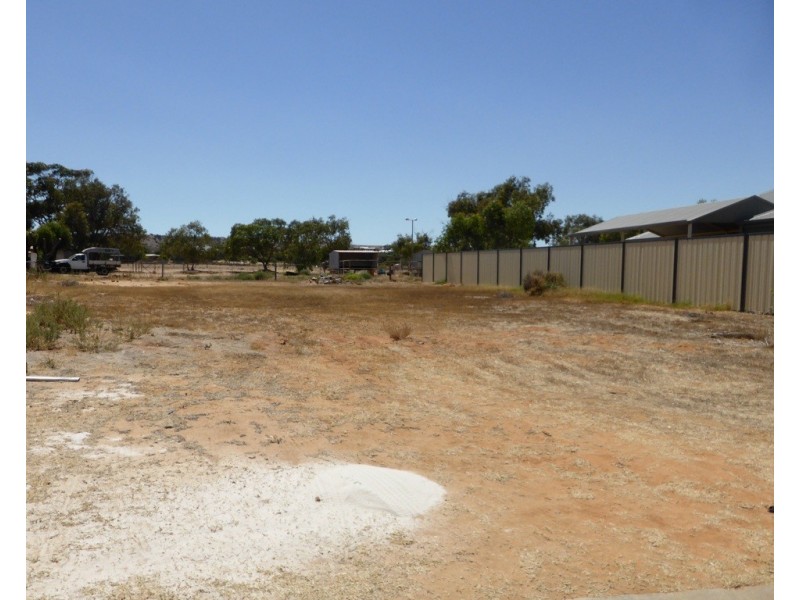 28 Ego Creek Loop, Waggrakine WA 6530