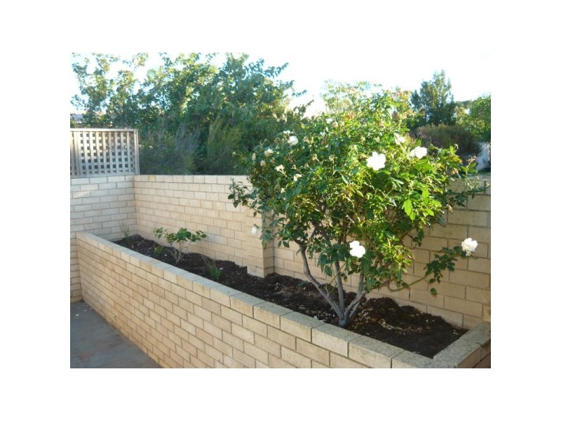 5/54 Eastward Road, Rangeway WA 6530