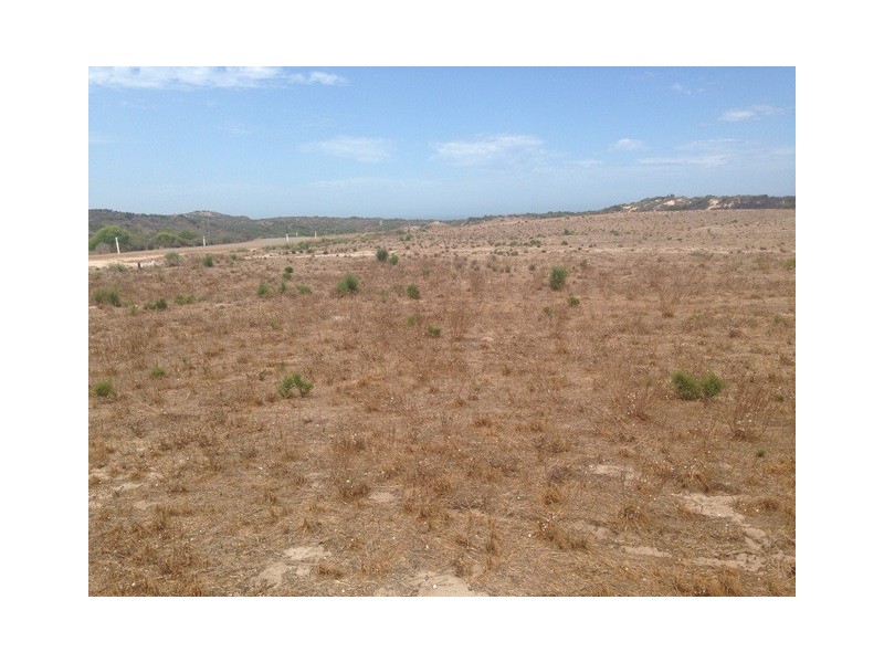 117 Turtledove Rise, Greenough WA 6532