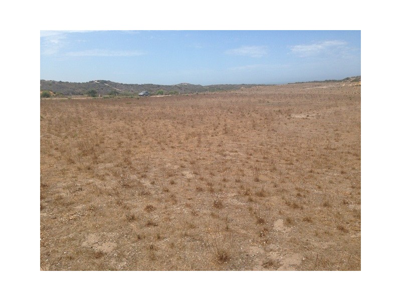 117 Turtledove Rise, Greenough WA 6532