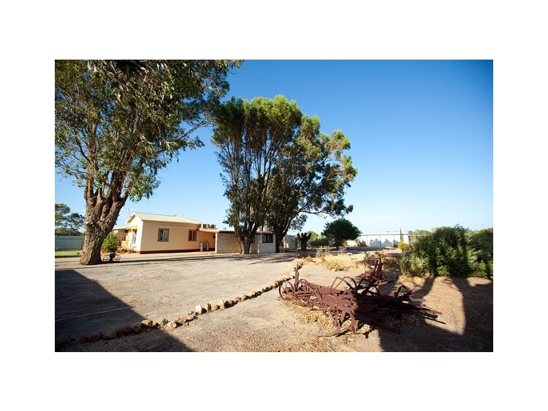 45 and 47 Hall Road, Waggrakine WA 6530
