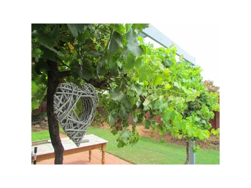 1 Forden Street, Mount Tarcoola WA 6530