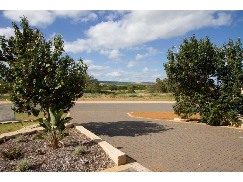 48 Tersonia Way, Strathalbyn WA 6530