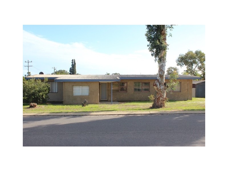 127 Mitchell Street, Spalding WA 6530