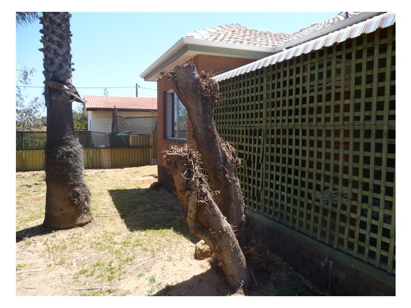 19 Diosma Street, Rangeway WA 6530