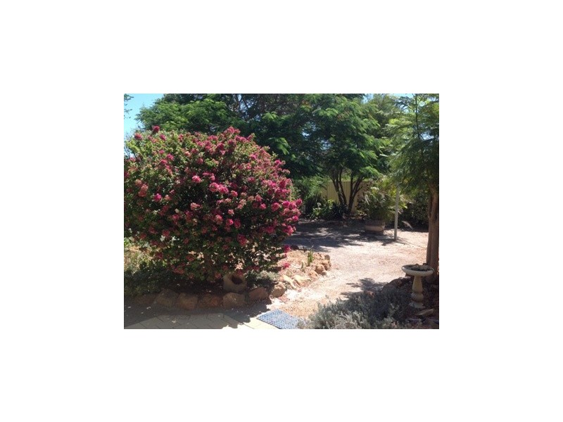 3 Shoalhaven Street, Drummond Cove WA 6532