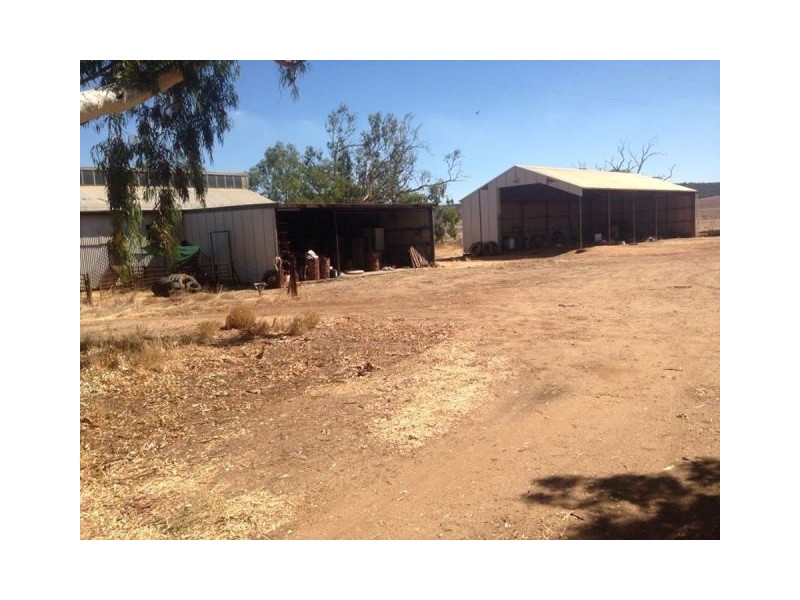 23 Saunders Road, East Chapman WA 6532