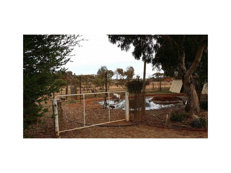 28 Dressage Circle, Deepdale WA 6532