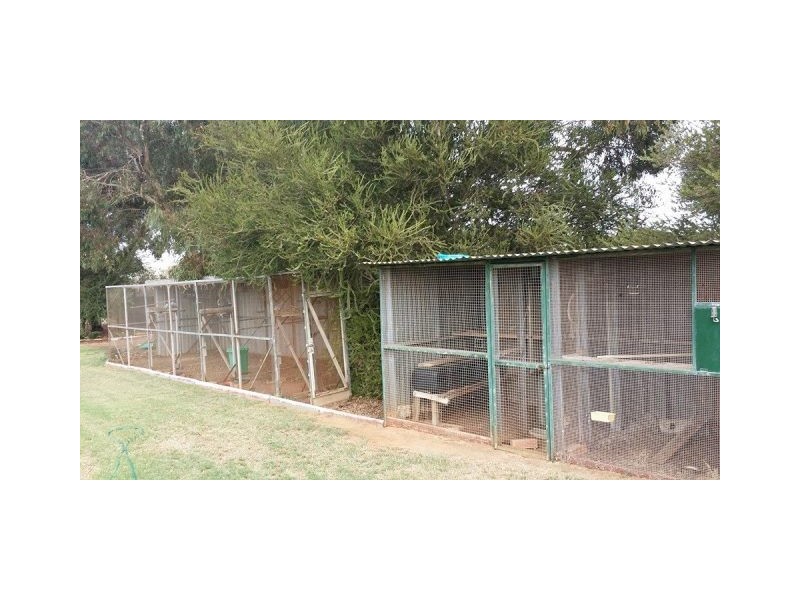 28 Dressage Circle, Deepdale WA 6532