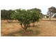 28 Dressage Circle, Deepdale WA 6532