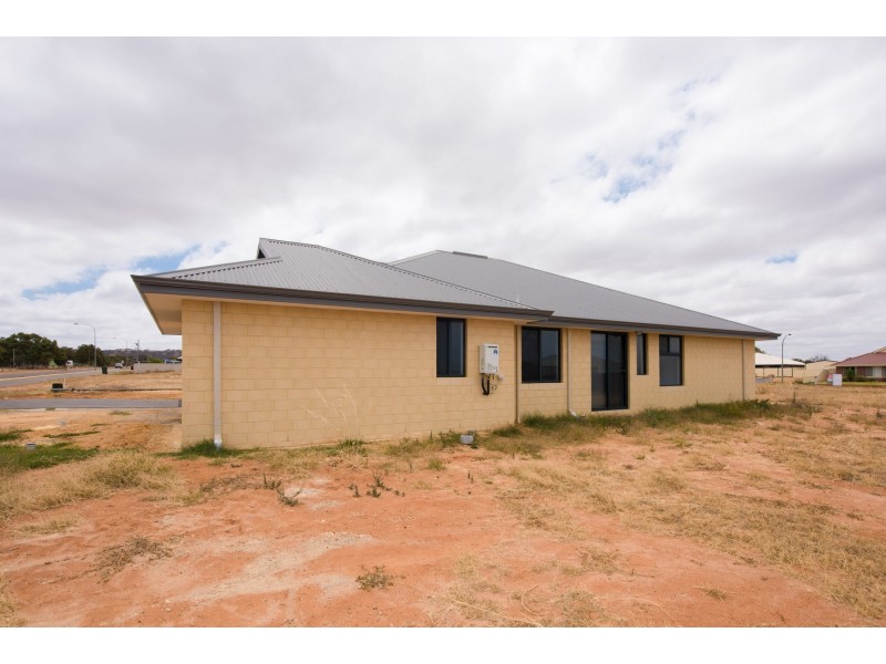 15 Andrew Lane, Waggrakine WA 6530
