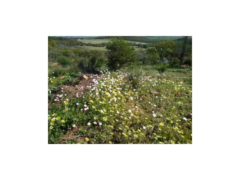 711 Scott Road, Narra Tarra WA 6532