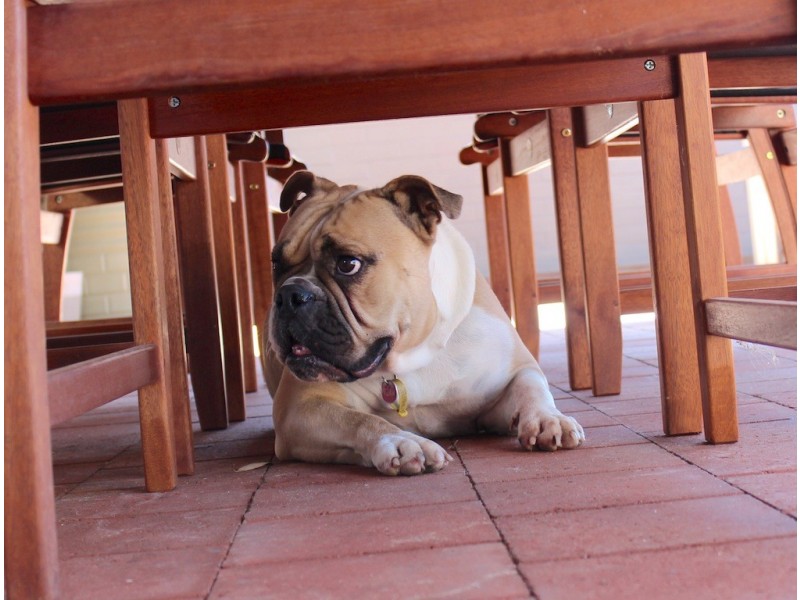 28C Albert Street, Geraldton WA 6530