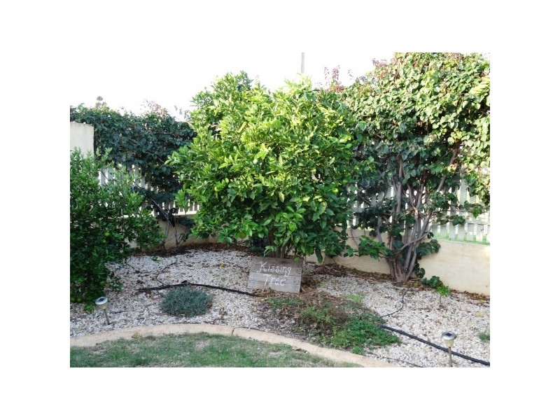 228 Third Street, Wonthella WA 6530