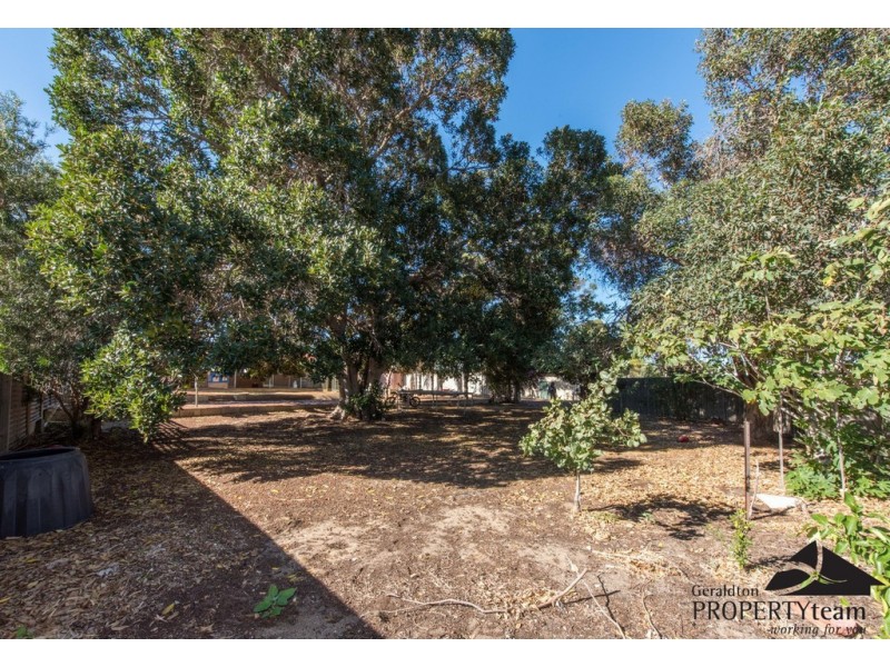 17 Alexander Drive, Glenfield WA 6532