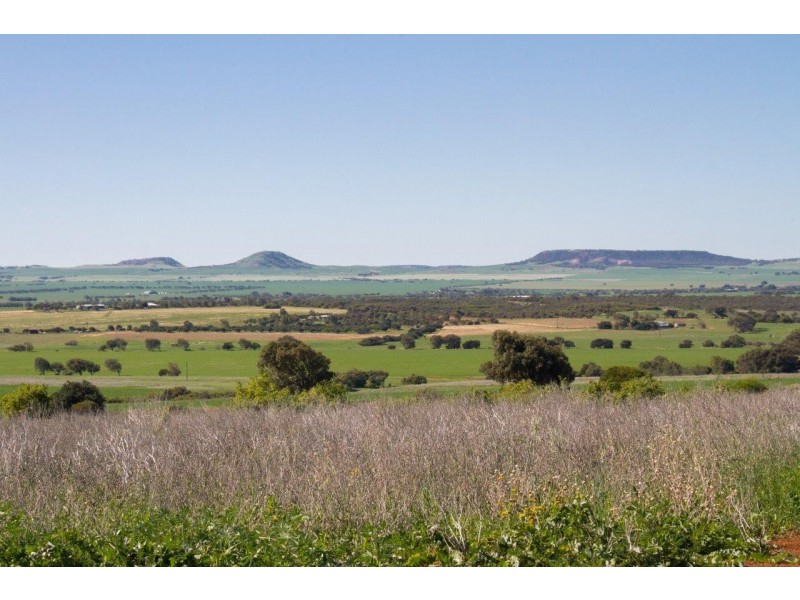 17 Meadowcroft Street, Rudds Gully WA 6532