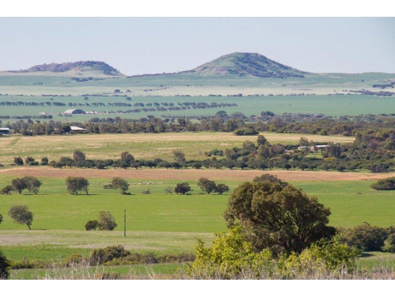 17 Meadowcroft Street, Rudds Gully WA 6532