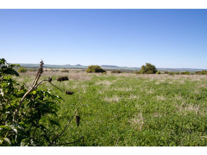 17 Meadowcroft Street, Rudds Gully WA 6532