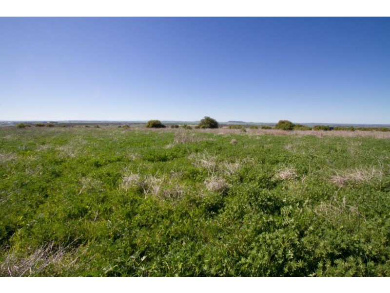 17 Meadowcroft Street, Rudds Gully WA 6532