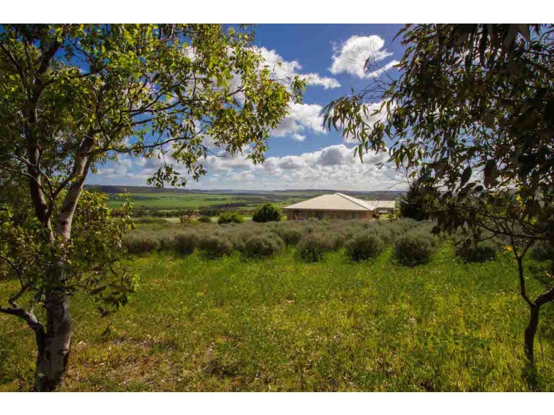 1626 (Lot 123) Chapman Valley Road, Narra Tarra WA 6532