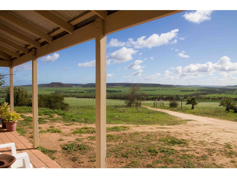 1626 (Lot 123) Chapman Valley Road, Narra Tarra WA 6532