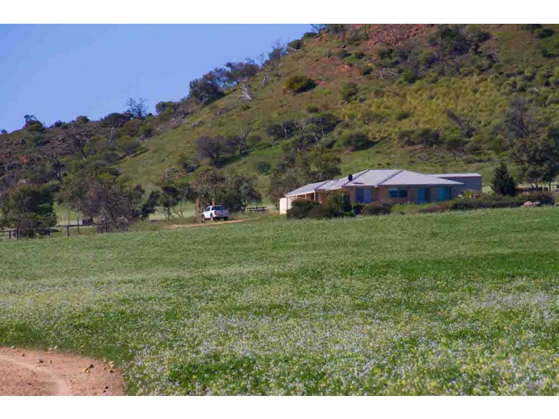 1626 (Lot 123) Chapman Valley Road, Narra Tarra WA 6532